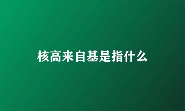 核高来自基是指什么