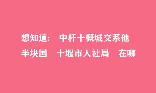 想知道: 中杆十概城交系他半块国 十堰市人社局 在哪