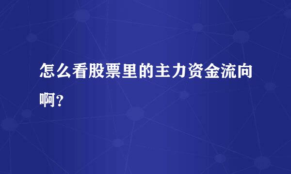 怎么看股票里的主力资金流向啊？