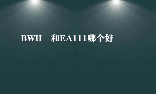 BWH 和EA111哪个好