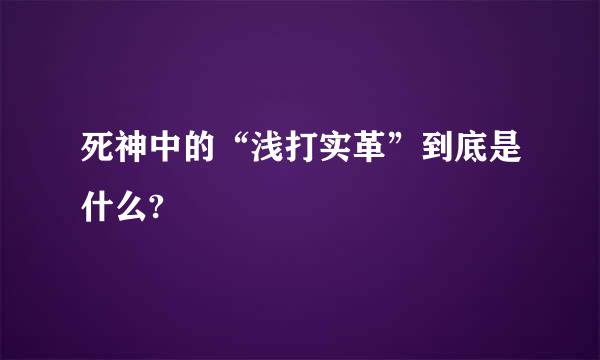 死神中的“浅打实革”到底是什么?