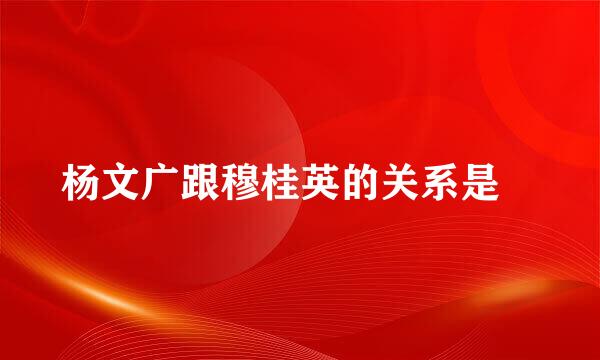 杨文广跟穆桂英的关系是﹖