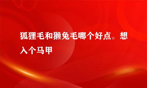 狐狸毛和獭兔毛哪个好点。想入个马甲