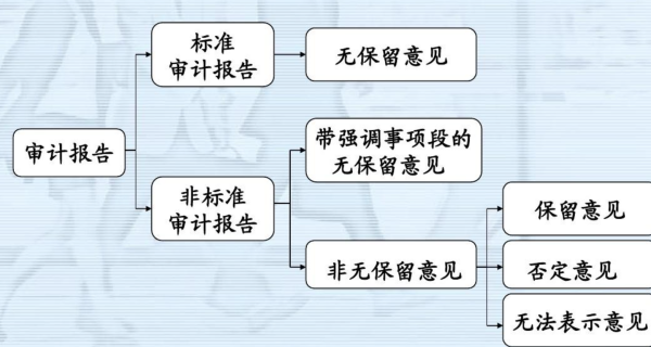 标准无保留意见的来自审计报告意味着什么?