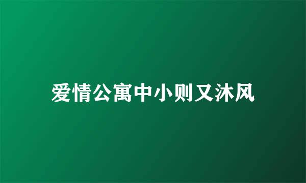 爱情公寓中小则又沐风