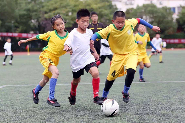 北京市来自中学生综合素质评价平台网址是什么