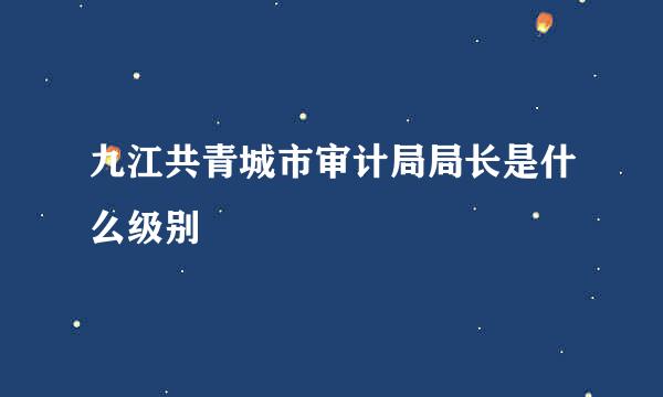 九江共青城市审计局局长是什么级别