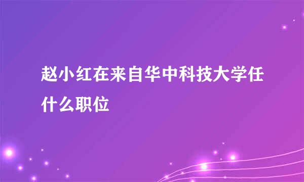 赵小红在来自华中科技大学任什么职位