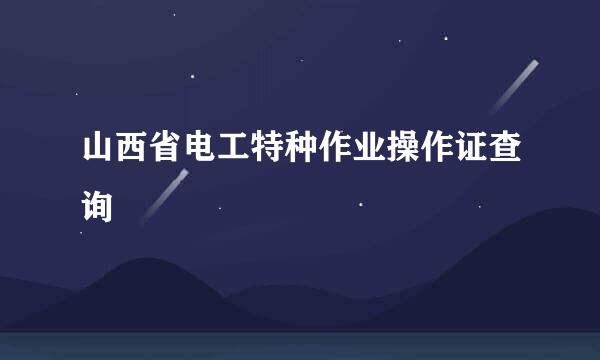 山西省电工特种作业操作证查询