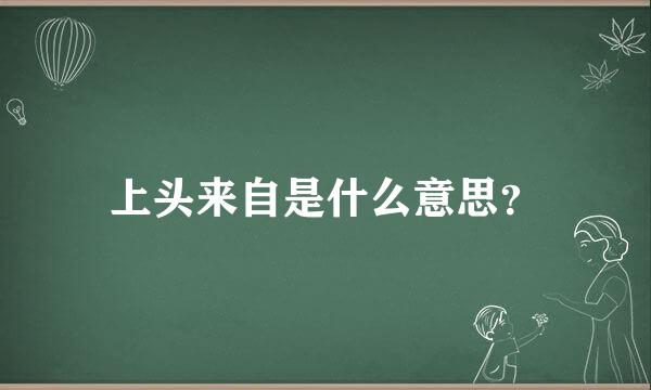 上头来自是什么意思？