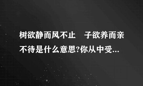 树欲静而风不止 子欲养而亲不待是什么意思?你从中受到了什么启示?