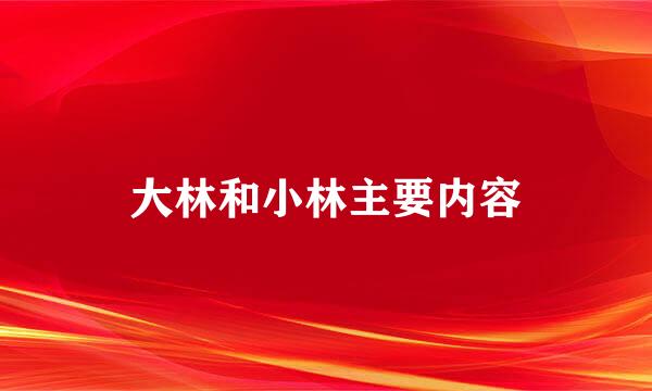 大林和小林主要内容