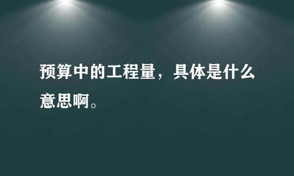 预算中的工程量，具体是什么意思啊。