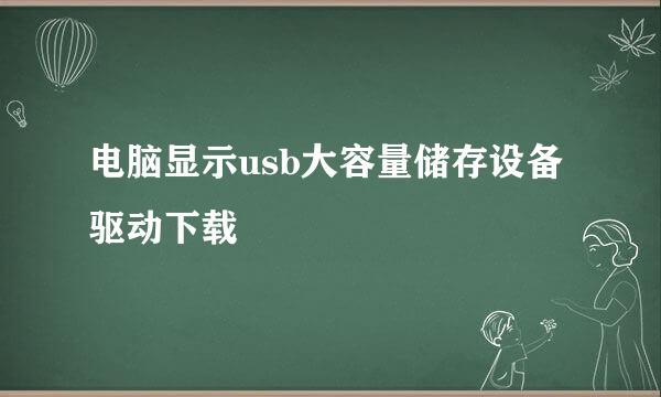 电脑显示usb大容量储存设备驱动下载