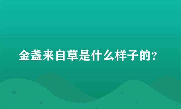 金盏来自草是什么样子的？