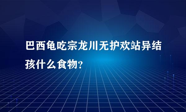 巴西龟吃宗龙川无护欢站异结孩什么食物？