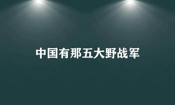 中国有那五大野战军