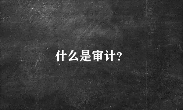 什么是审计？