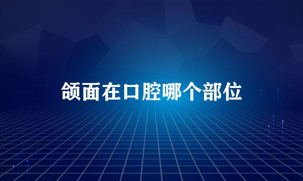 颌面在口腔哪个部位