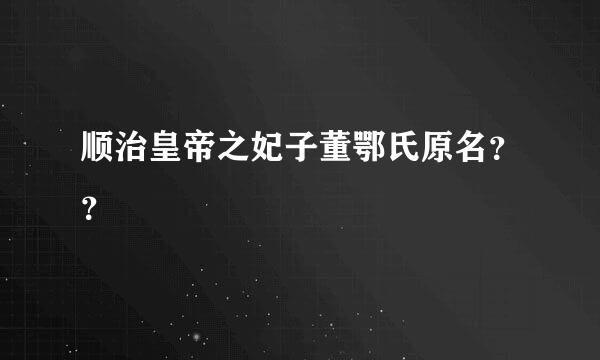 顺治皇帝之妃子董鄂氏原名？？