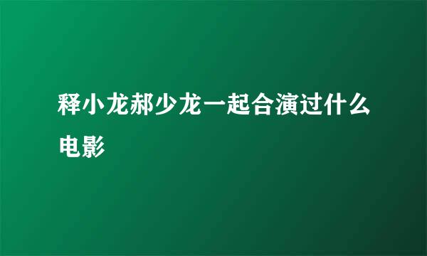 释小龙郝少龙一起合演过什么电影