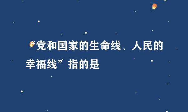 “党和国家的生命线、人民的幸福线”指的是