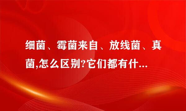 细菌、霉菌来自、放线菌、真菌,怎么区别?它们都有什么特点?