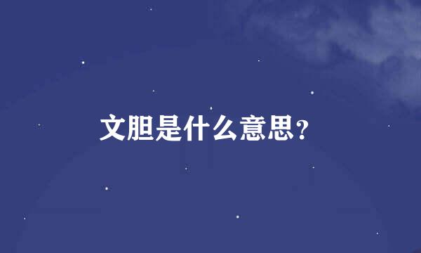 文胆是什么意思？