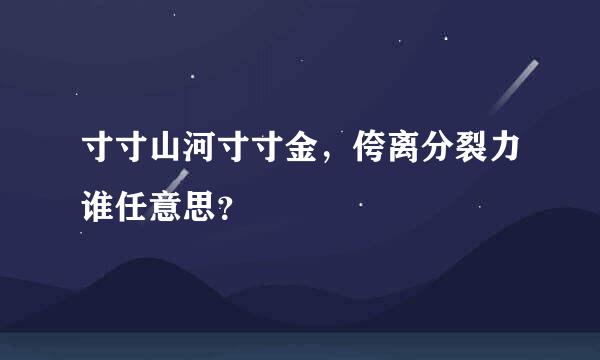 寸寸山河寸寸金，侉离分裂力谁任意思？