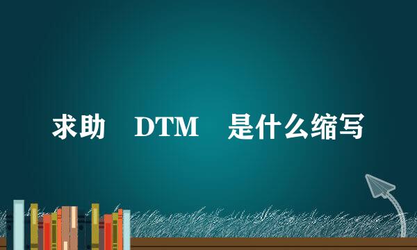 求助 DTM 是什么缩写