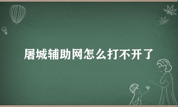 屠城辅助网怎么打不开了