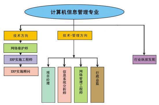 计算机信息管理专业的就业方向是什么啊