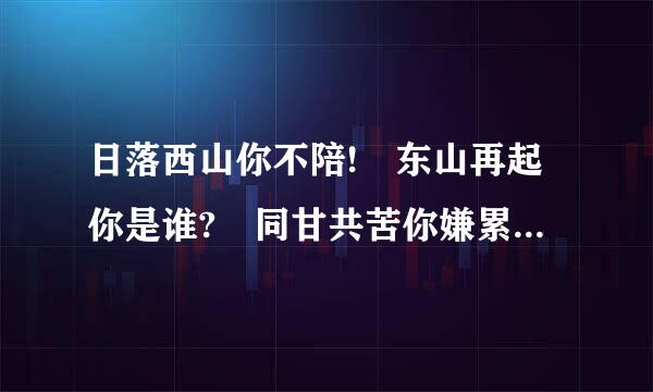 日落西山你不陪! 东山再起你是谁? 同甘共苦你嫌累! 荣华富贵你不配!下一句