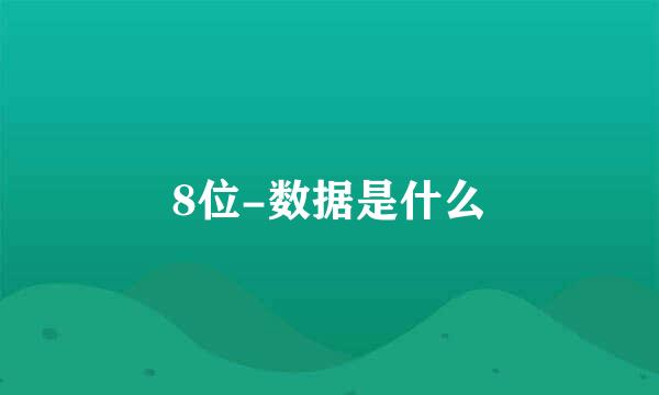 8位-数据是什么