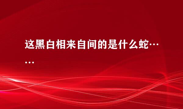 这黑白相来自间的是什么蛇……