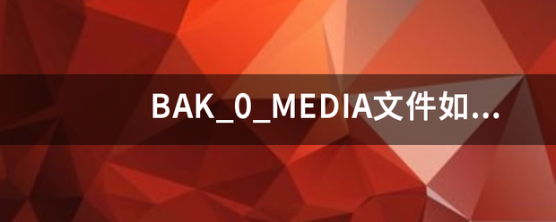 BAK_0_MEDIA文件如何打开？