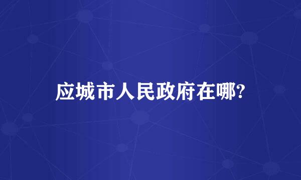 应城市人民政府在哪?