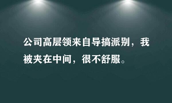 公司高层领来自导搞派别，我被夹在中间，很不舒服。