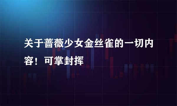 关于蔷薇少女金丝雀的一切内容！可掌封挥