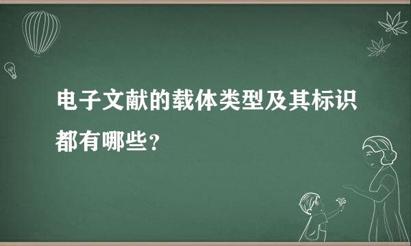 电子文献的载体类型及其标识都有哪些？