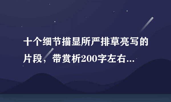 十个细节描显所严排草亮写的片段，带赏析200字左右 赏析必须是细节赏析，不要太华丽