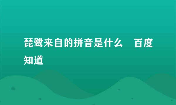 琵鹭来自的拼音是什么 百度知道