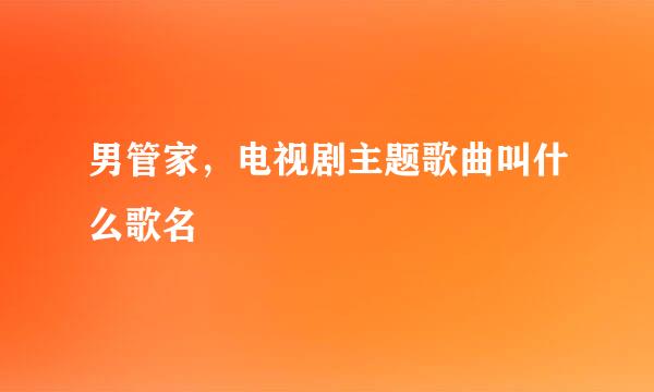 男管家，电视剧主题歌曲叫什么歌名