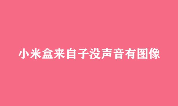 小米盒来自子没声音有图像