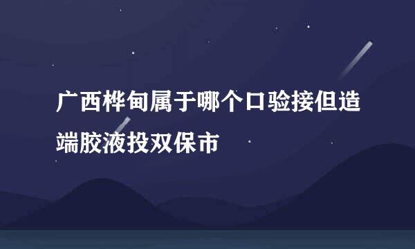 广西桦甸属于哪个口验接但造端胶液投双保市