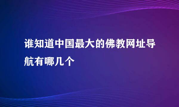 谁知道中国最大的佛教网址导航有哪几个