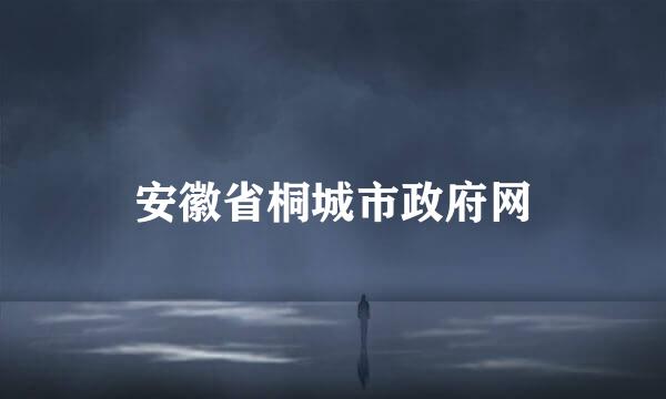 安徽省桐城市政府网