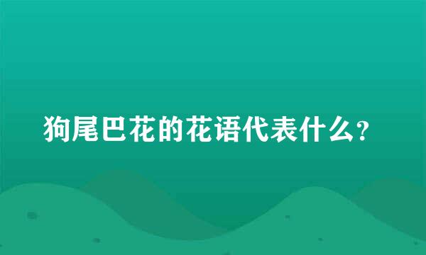 狗尾巴花的花语代表什么？