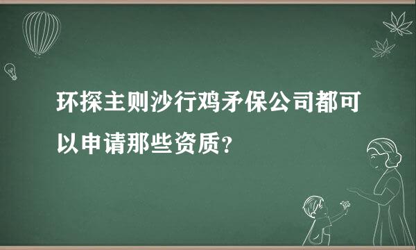 环探主则沙行鸡矛保公司都可以申请那些资质？