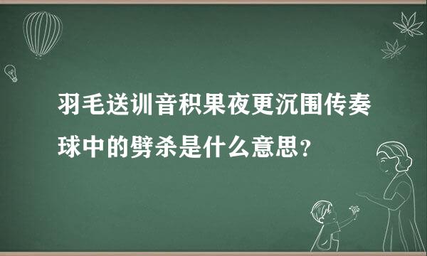 羽毛送训音积果夜更沉围传奏球中的劈杀是什么意思？